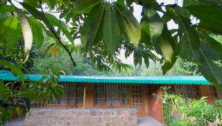 Sparrow Woods Eco Resort - Nainital - 0