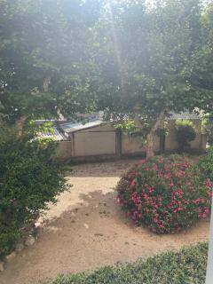 Superbe T3 Rénové proche du Vélodrome - 3