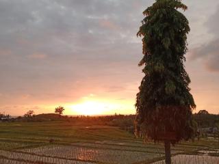 Pondok Dauh Ancak Kelating Guest House - 6