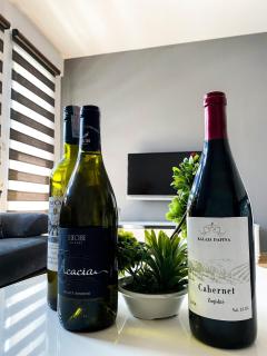 Lovely 2-BR apartment in Prishtina City Center - 9