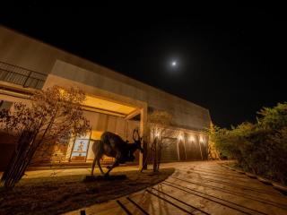 Kotiyagala Luxury Villas - Yala - 1