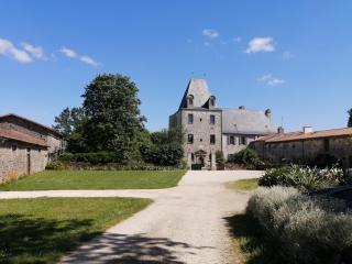 Logis de La Roulière - La Chapelle-Bertrand - 0