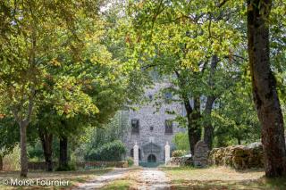 Logis de La Roulière - La Chapelle-Bertrand - 6