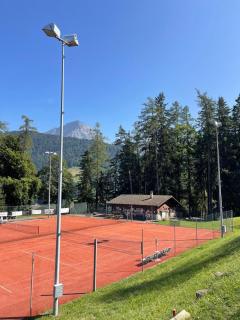 Chalet Tendre est la Nuit à Gryon - 6 personnes, belle vue, tout confort - 6