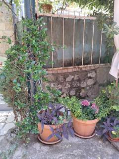 Old Town Green Oasis House - Dubrovnik - 2