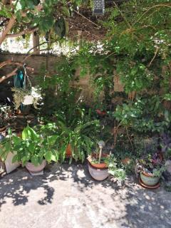 Old Town Green Oasis House - Dubrovnik - 1