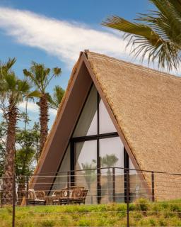 Le Domaine Limoune - 4