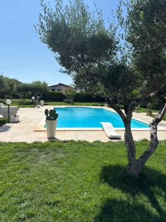 B&B Villa Antonella - Piazza Armerina - 7