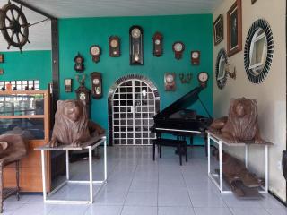 Pousada e Museu JK - 8