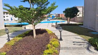 Sunny Sharm Best Vacation - 9