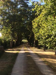 Logis de La Roulière - 3