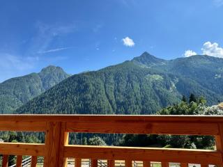 Apartment Val di Rabbi - Piazzola - 9