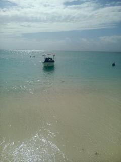 Fins Zanzibar Dolphins Tours - Dimbani - 7