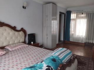 Binod Niwas - Kathmandu - 2