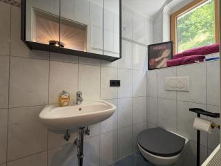 Apartment Anny 3 by Interhome - Zell am See - 1