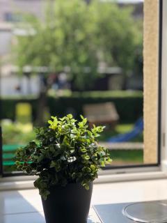 New cozy flat for 6 Pick fresh fruit from the garden - Elsteraue - 5