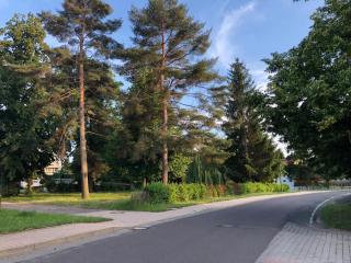 New cozy flat for 6 Pick fresh fruit from the garden - Elsteraue - 4