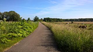 Kleine Buurt aan de Weide - Lettelbert - 2