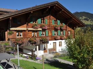 Apartment Alpenchalet Spiher Parterre by Interhome - Gstaad - 0