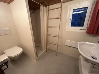 Apartment Alpenchalet Haldeli by Interhome - 3