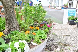 Lyme Bay House - Dawlish - 1