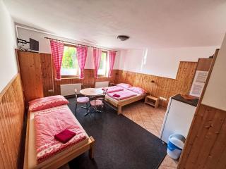 Apartment U Švýcarského dvora I by Interhome - 5