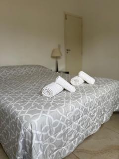 Amplio departamento céntrico - 2