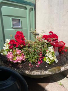 The Halfway House - 4