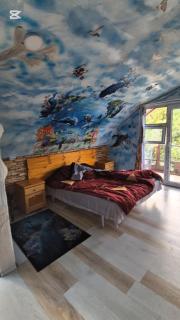 444 guest house chinti - 4