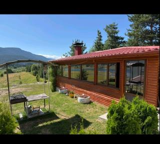 Вили Елеганс Сърница - 1