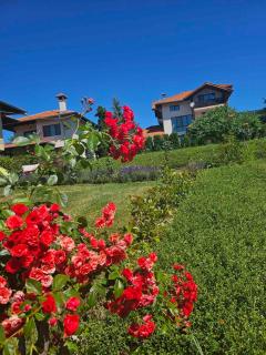 Vila Roza - - 9