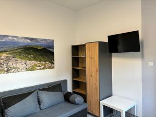 Apartament w Kocierzu - 4