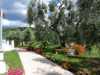 Piana dei Greci - 3