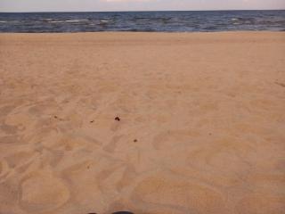 Pie dzintara jūras - 9