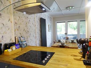 A spacious modern lodge in scenic mid Wales - 8