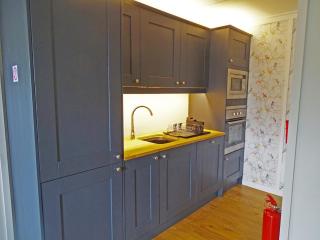 A spacious modern lodge in scenic mid Wales - 2