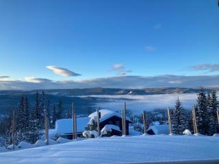 Skarvegløtt Ski in Ski out - 1