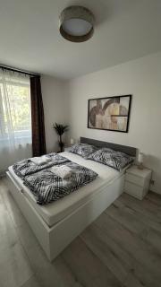 Milla's Dream Home 2 - Szeged - 9