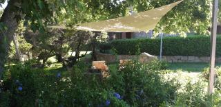 green park hotel - 9