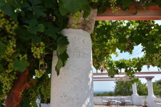 Masseria Gravinella - Fasano - 2