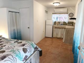 Peaceful Beach Studio in the Heart of Puntas - Rincón - 2