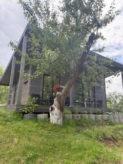 Obuoliu Sala COZY HOUSE on the Apple Island - Gailiūnai - 2