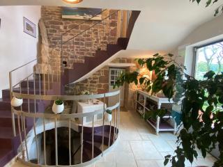 Le palmier d'Alice - 3