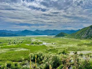 Nina House Charming Prevlaka Apartment with Nature Views - 7