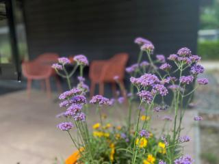 Tiny Lodges for2 - Kempenbos - 2