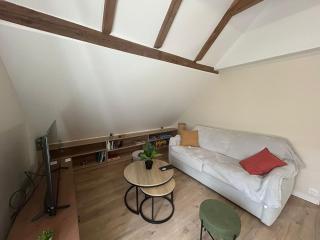 Maison cosy avec jardin privé et calme absolu - Jungholtz - 8