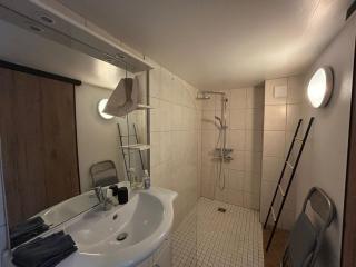 Maison cosy avec jardin privé et calme absolu - Jungholtz - 5