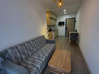 Green House - Apartment with Separate Bedroom - 9