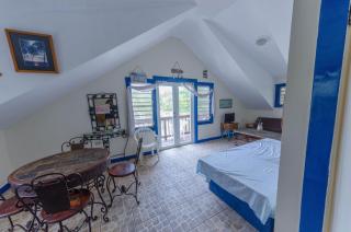 Oceanview One-Bedroom Apartment at Puntas Tree House - 0