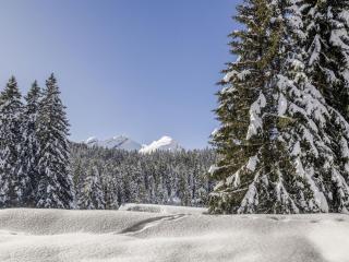 Apartment Larice by Interhome - 9